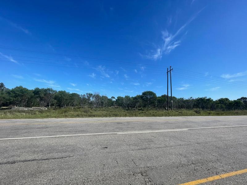 0 Bedroom Property for Sale in Greenbushes Eastern Cape